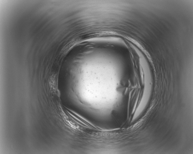 X0000057080905200510010156