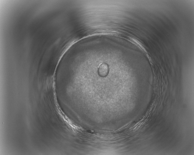 X0000057080907200510010156