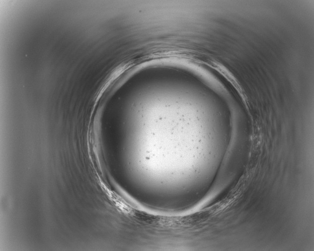 X0000057080909200510010156