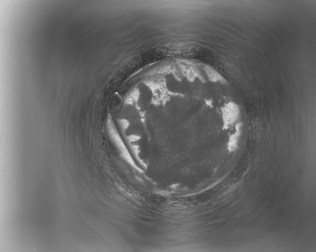 X0000057080913200510010155