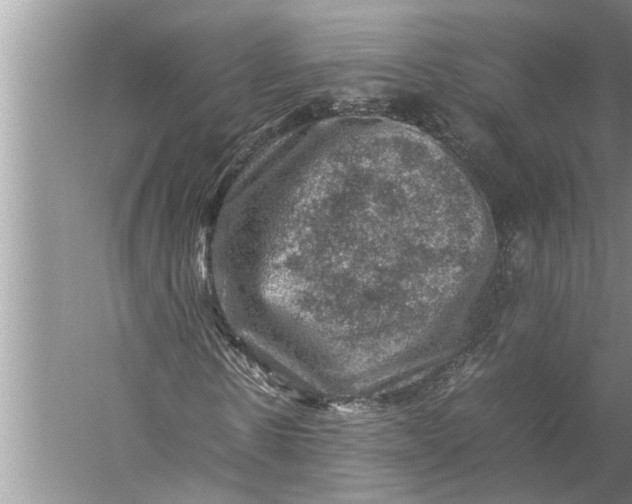 X0000057080914200510010155