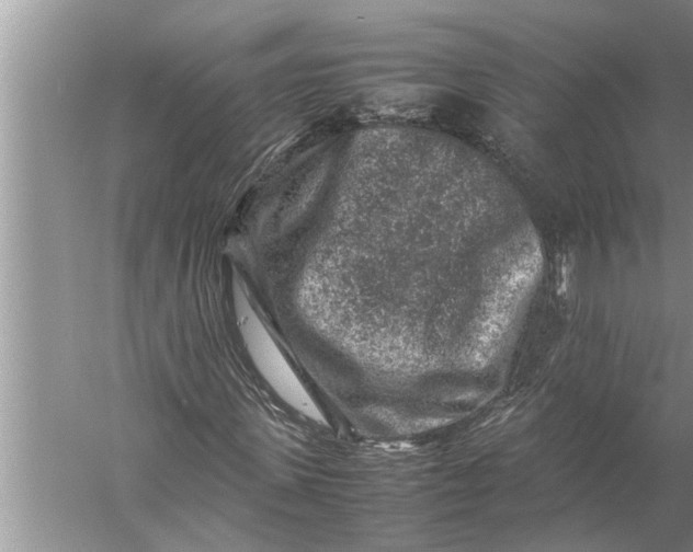 X0000057080915200510010155