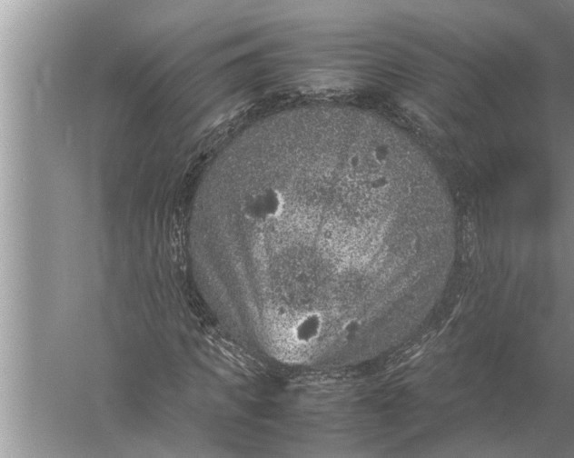 X0000057080917200510010155