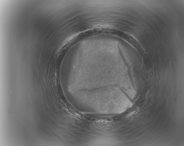 X0000057080919200510010155