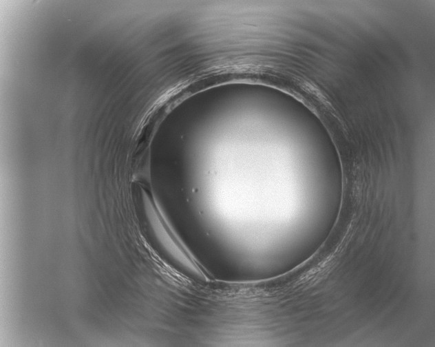 X0000057080922200510010155