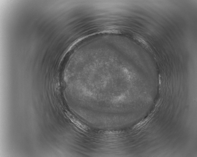 X0000057080923200510010155