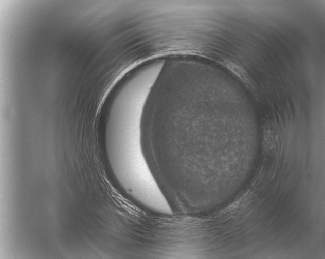 X0000057080926200510010155