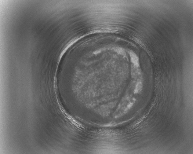 X0000057080928200510010156