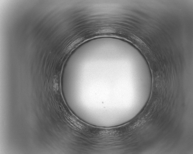 X0000057080929200510010156