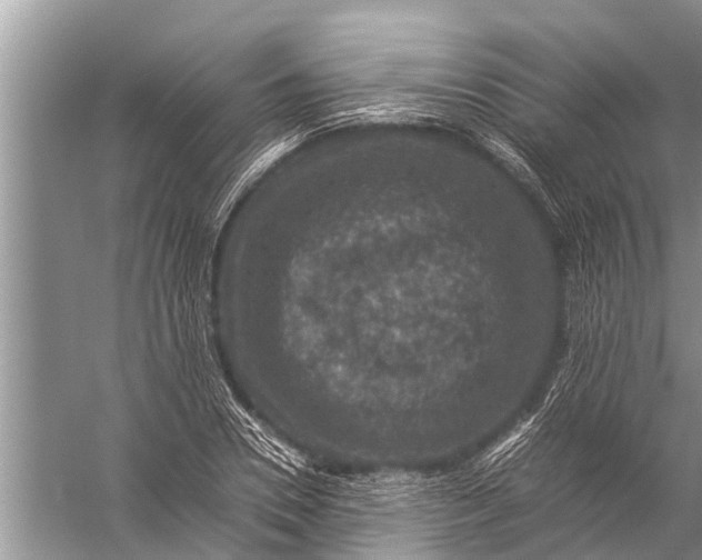 X0000057080930200510010156