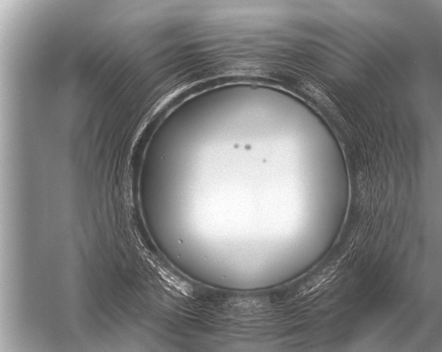 X0000057080931200510010156