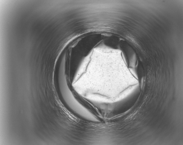 X0000057080932200510010156