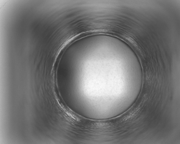 X0000057080933200510010156