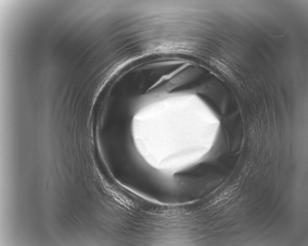 X0000057080934200510010156