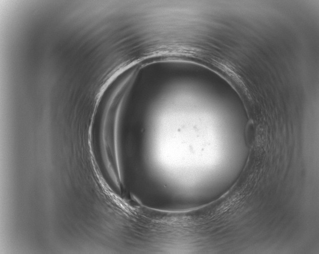 X0000057080936200510010156