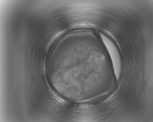 X0000057080938200510010156