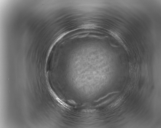 X0000057080939200510010156