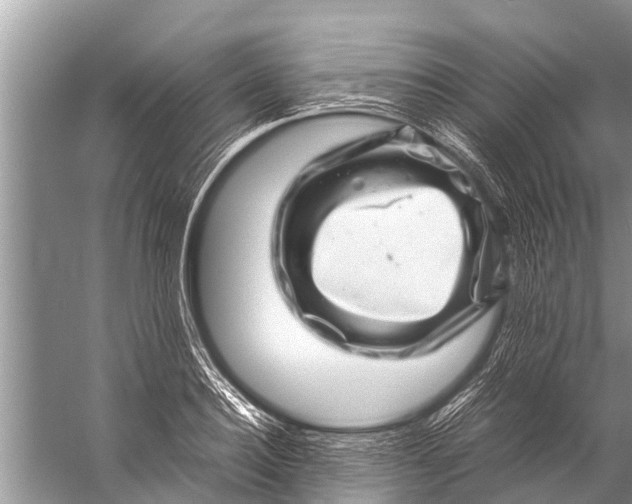 X0000057080940200510010156