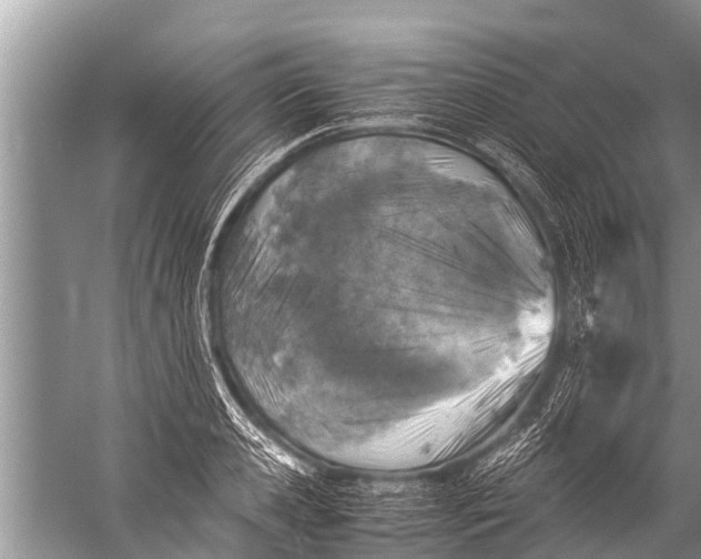 X0000057080941200510010156