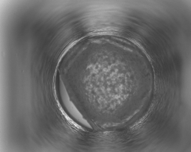 X0000057080949200510010156