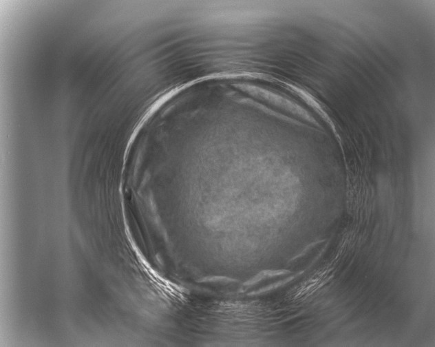 X0000057080951200510010156