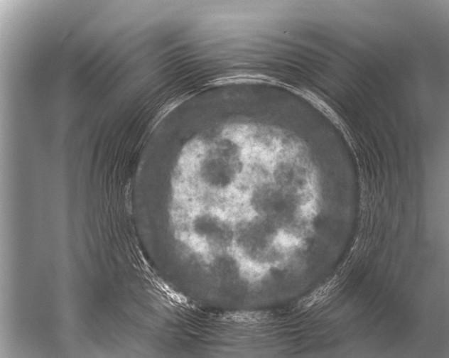 X0000057080953200510010156