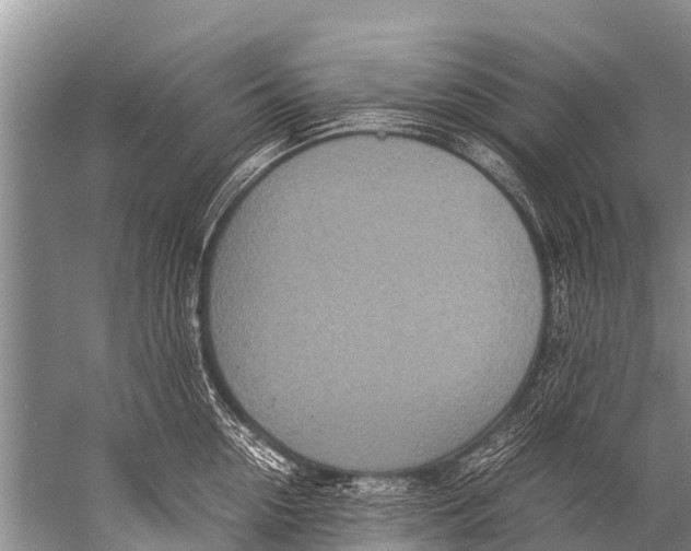 X0000057080954200510010156