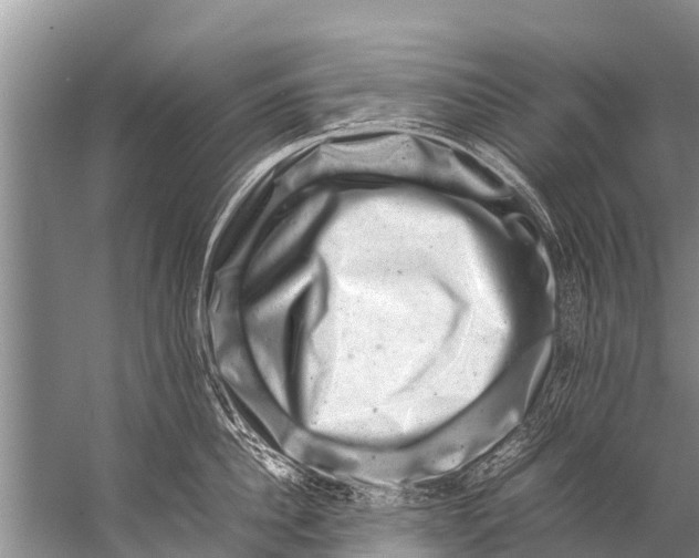 X0000057080956200510010156