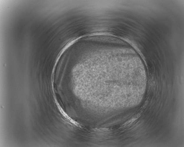 X0000057080957200510010156