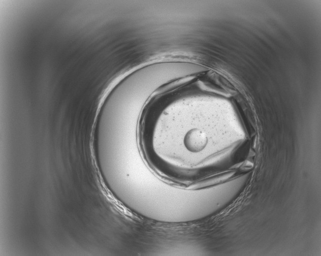 X0000057080960200510010156