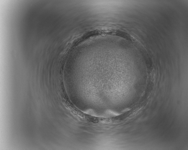 X0000057080961200510010155