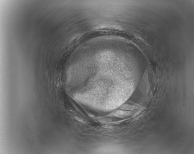 X0000057080965200510010155