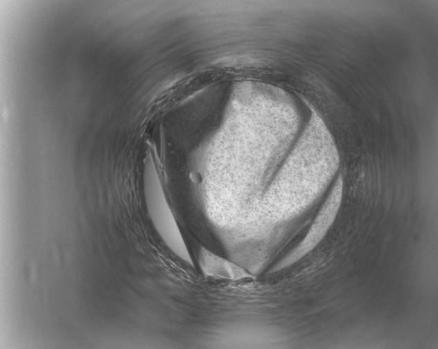 X0000057080966200510010155