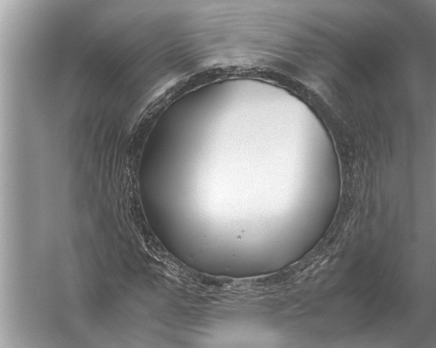 X0000057080967200510010155