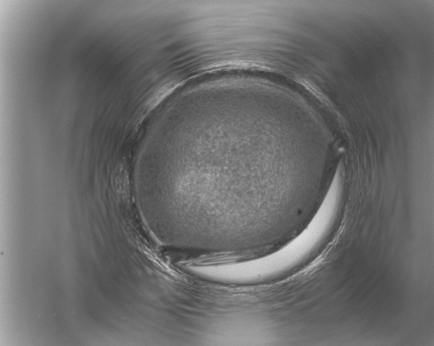 X0000057080969200510010155