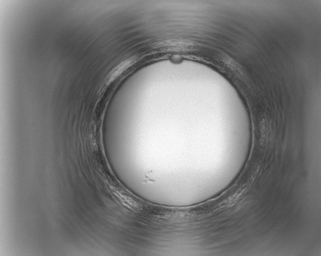 X0000057080970200510010155