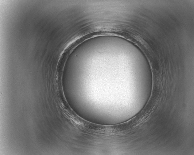 X0000057080971200510010155