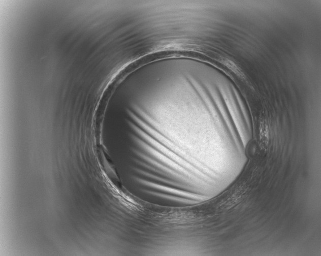 X0000057080972200510010155