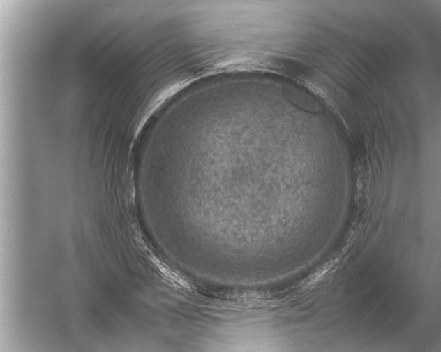 X0000057080973200510010155