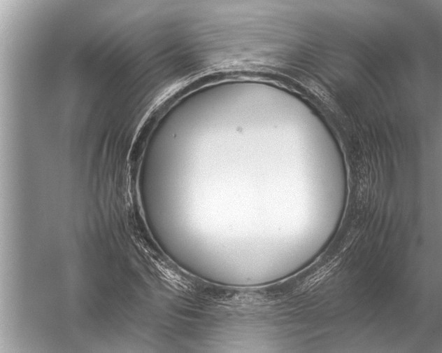 X0000057080974200510010155