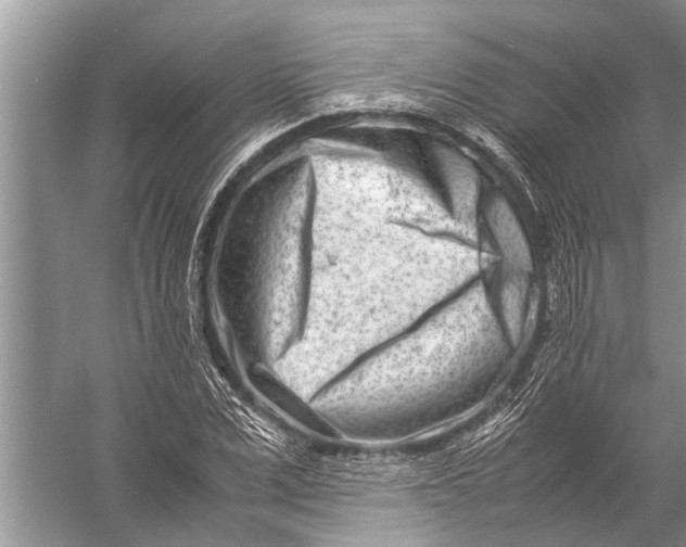 X0000057080975200510010155