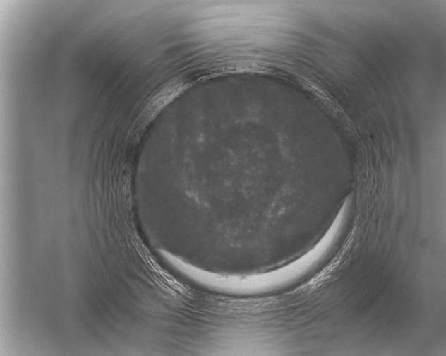 X0000057080977200510010155