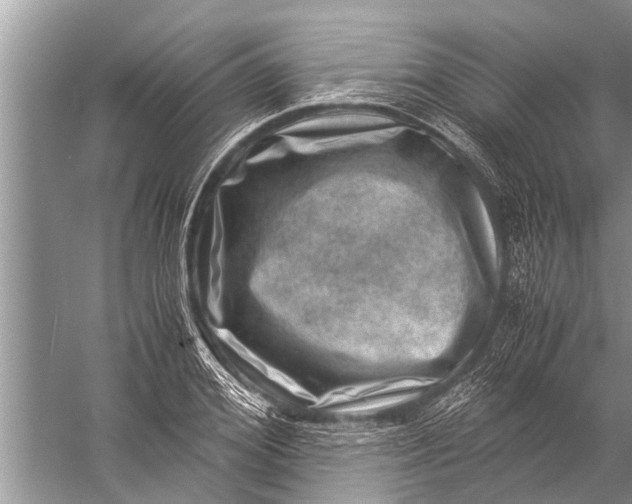 X0000057080980200510010155