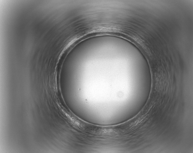 X0000057080982200510010155