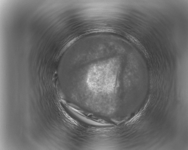 X0000057080985200510010155