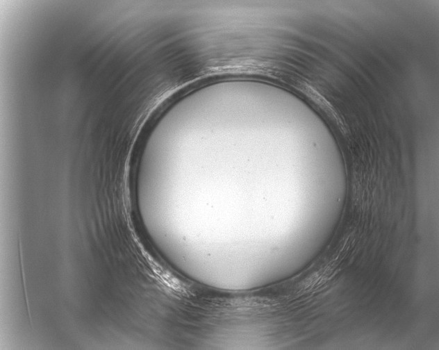 X0000057080988200510010155