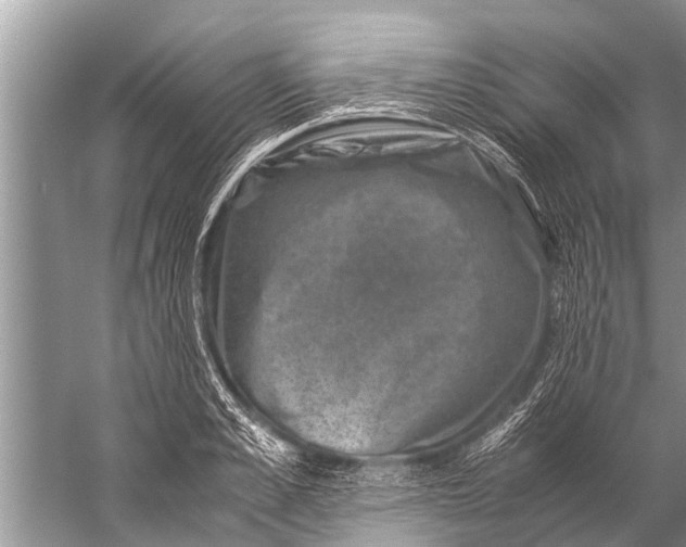 X0000057080989200510010155