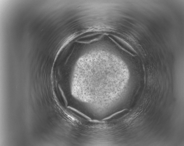 X0000057080990200510010155