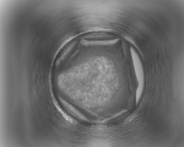 X0000057080991200510010155