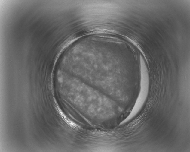 X0000057080995200510010155